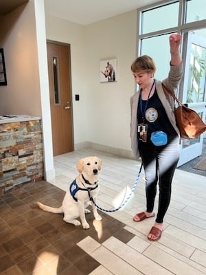 Handler shows off Luna, a service dog in training
